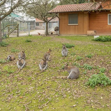 Zapfs Bauernhof Pfingstrose 테트낭
